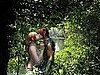 Green Love