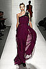 J Mendel Fall 2009