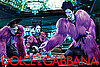 Dolce & Gabbana's Fall 2009 ad campaign.