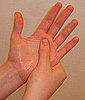 Palm It Off