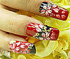 De Colores y Flores