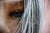 You might become a silver fox sooner than you think.
