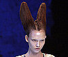Rabbit Ears
