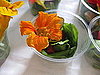 Greens With Edible Flowers