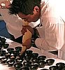 Paul Liebrandt's Uni Ice Cream