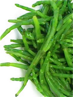 Sea Beans