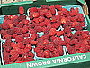 Ferry Plaza Farmers Market, San Francisco, CA