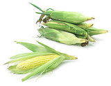 Expert Corn Pudding