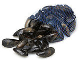 Steamed Mussels in Tomato Broth