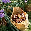 Honey-Roasted Nuts and Fruit