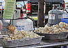 Texas Taters