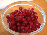 Red Currant And Raspberry Granita