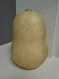 Roasted Butternut Squash