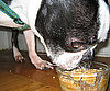 Nom Nom Nom Nom . . . 
