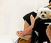 Don't Overstay His Welcome