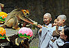 Monkey See, Monkey Do