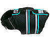 Sherpa LunaBrite Flotation Device Dog Life Vest 