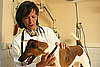 2. Make a Doctor's Appointment