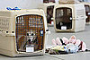 7. Stock Familiar Items