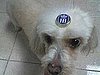 A Teeny, Tiny Cap