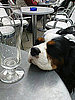 I Drank Thiiiiiis Much