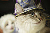 Merlin Makes Magic 