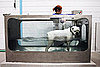 Hydrotherapy