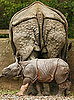 Suit of Armor