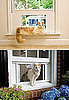 Windoor