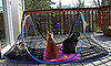 Feline Funhouse