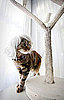 Kitty Wigs