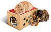 Kitty Bunkbed and Playroom