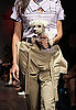 Fashion Forward or Fashion Faux Pas?