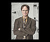 Rainn Wilson, The Office