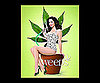 Weeds