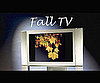 Fall TV