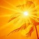 lesoleil's picture