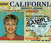Go to the DMV