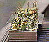 Jalapeño Pepper Roaster
