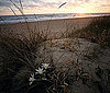 Block Island, Rhode Island