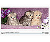 Postcard FM