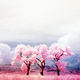 zoet's picture