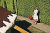 Girls on Film: American Dreamin', W, December '08