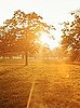 Sam Taylor-Wood Shines