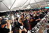 Behind the Seams: Backstage at NYFW, Spring '10 