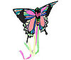 Kites