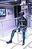 Animation Suit