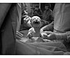 Welcoming Baby to the World