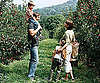 Pick Your Own