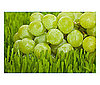 Frozen Grapes